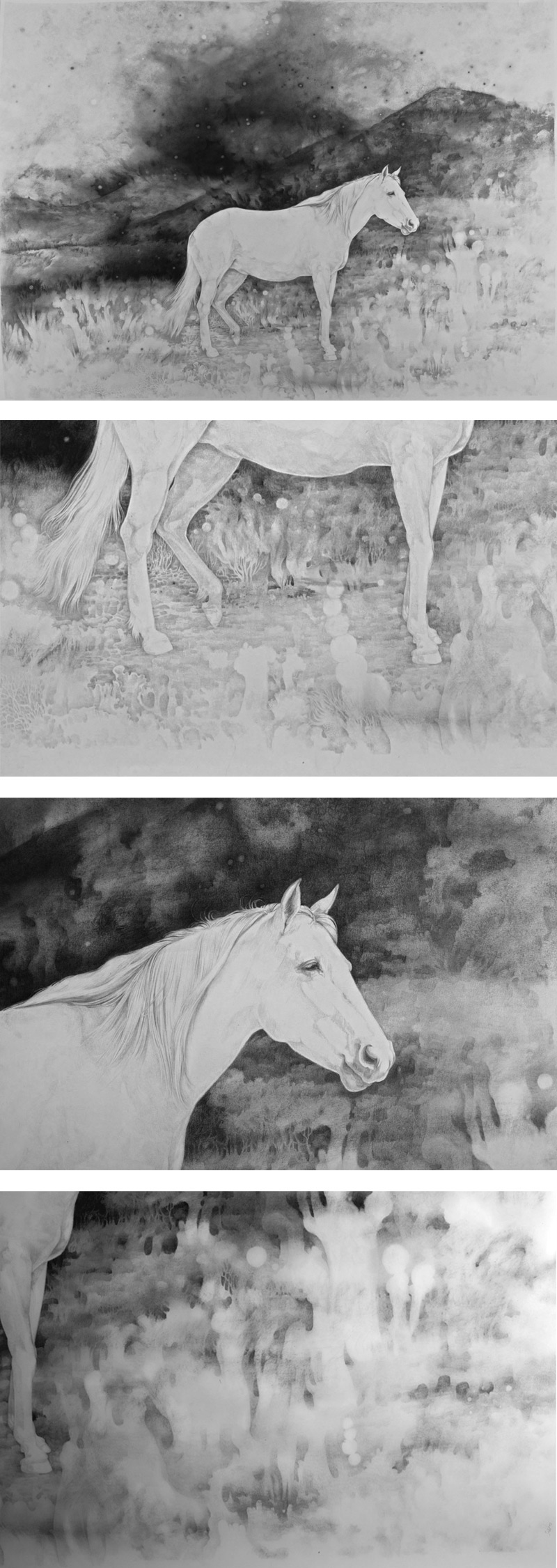 big pencil drawing of a white horse 