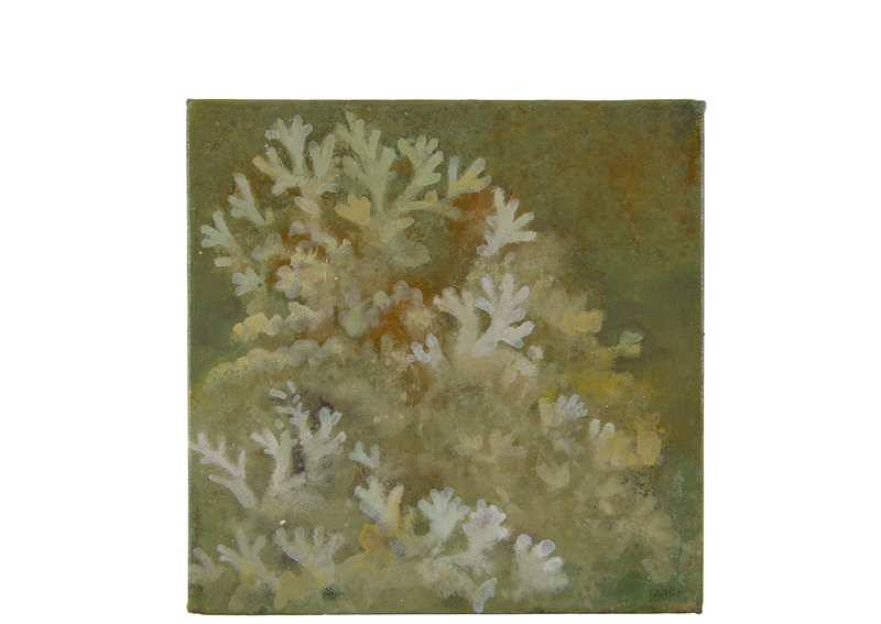 oil painting, lichen painting, moss painting