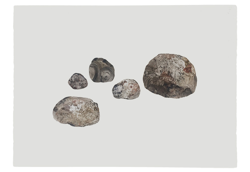 oil painting on paper, stones, rocks
